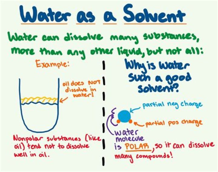 Who is water a good solvent?