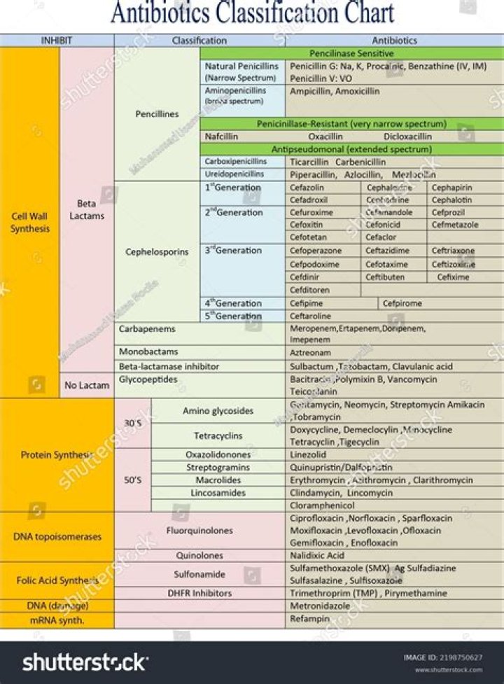 Who list of antibiotics?