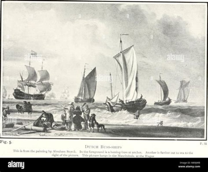 Who wears fore and aft rig?