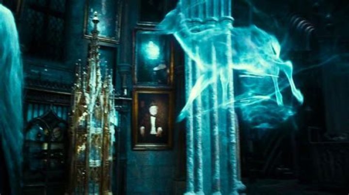 Whos harry potter's godmother?
