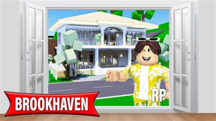 Whos the owner of brookhaven?