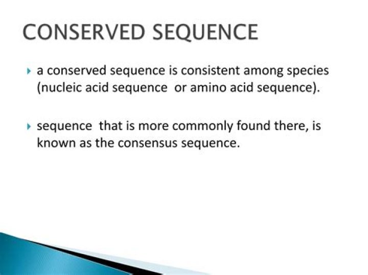 Why are conserved sequences important?