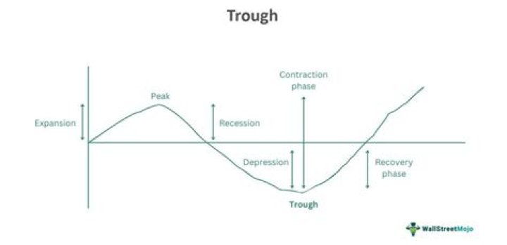 Why are trough levels drawn?
