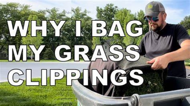 Why bag your grass clippings?