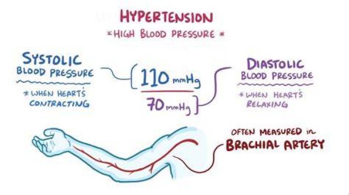 Why blood pressure up and down?
