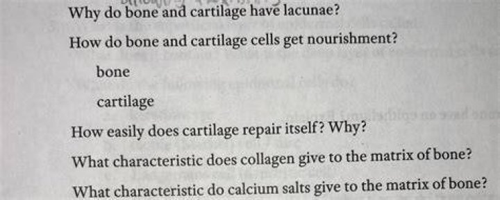 Why do bone and cartilage have lacunae?