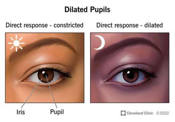Why do pupils dilate?