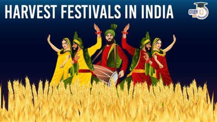 Why harvest festivals are celebrated?