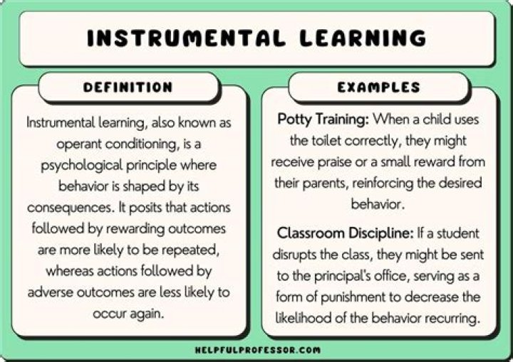 Why instrumentalism is important?