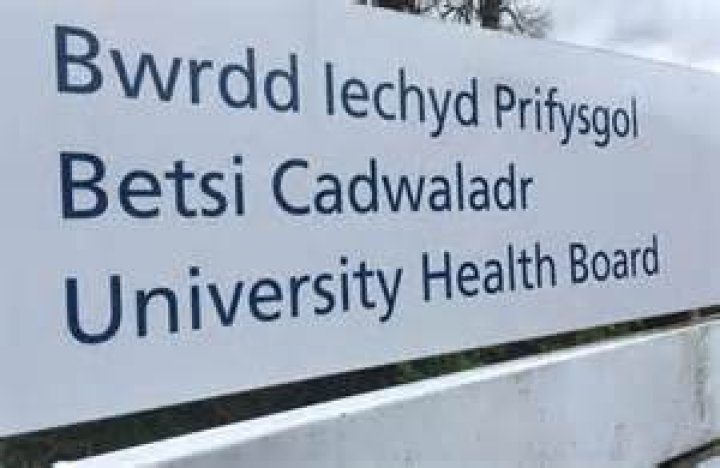 Why is betsi cadwaladr famous?