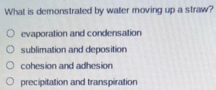Why is demonstrated by water moving up a straw?