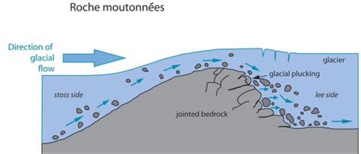 Why is it called a roche moutonnee?