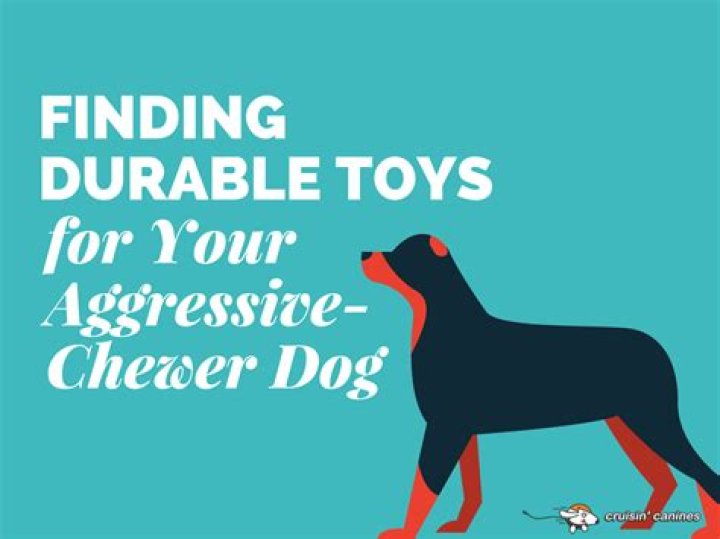 Why is my dog such an aggressive chewer?