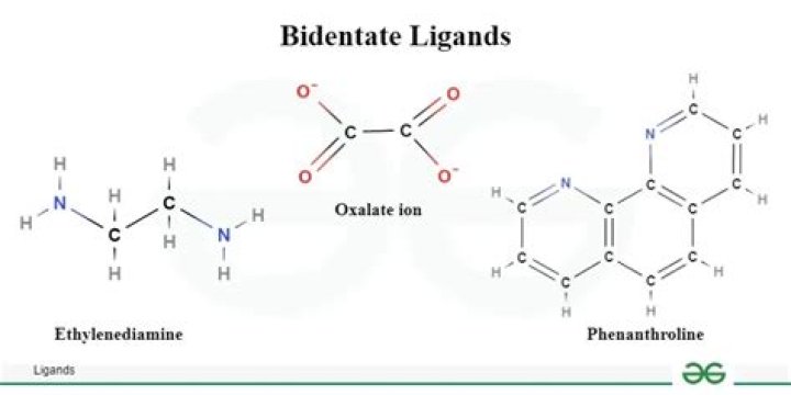 Why is oxalate bidentate?