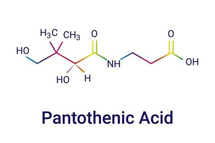 Why is pantothenate important?