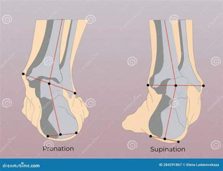 Why is supination stronger than pronation?