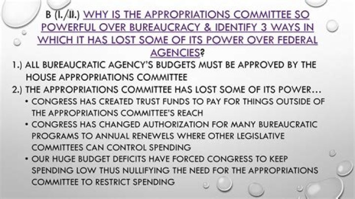 Why is the appropriations committee so powerful?