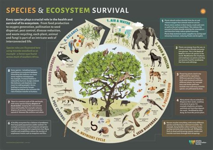 Why is the tree so important to gustus?