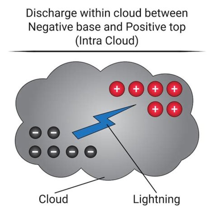 Why is the tree underneath the thundercloud charged positively?