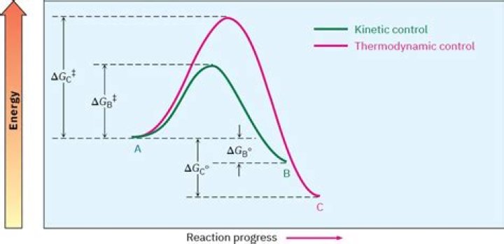 Why kinetic and thermodynamic control?