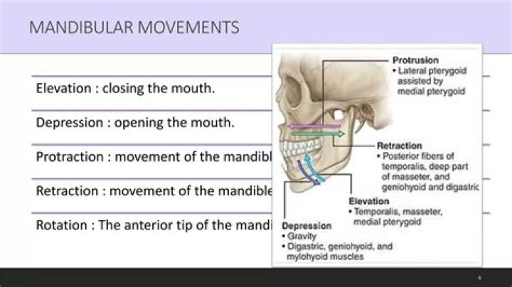 Why mastication is important?