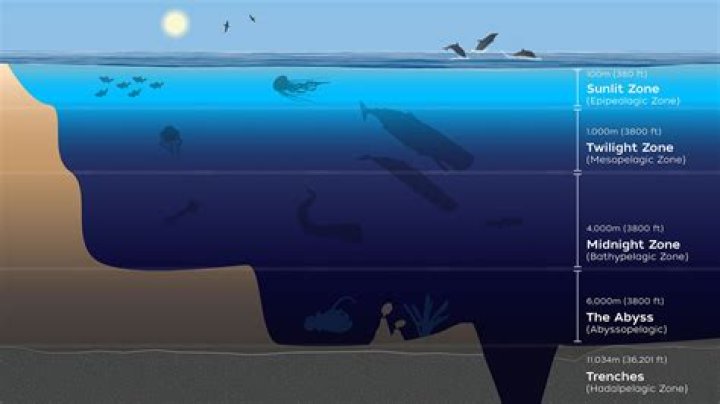 Why only few lives in bathypelagic zone?