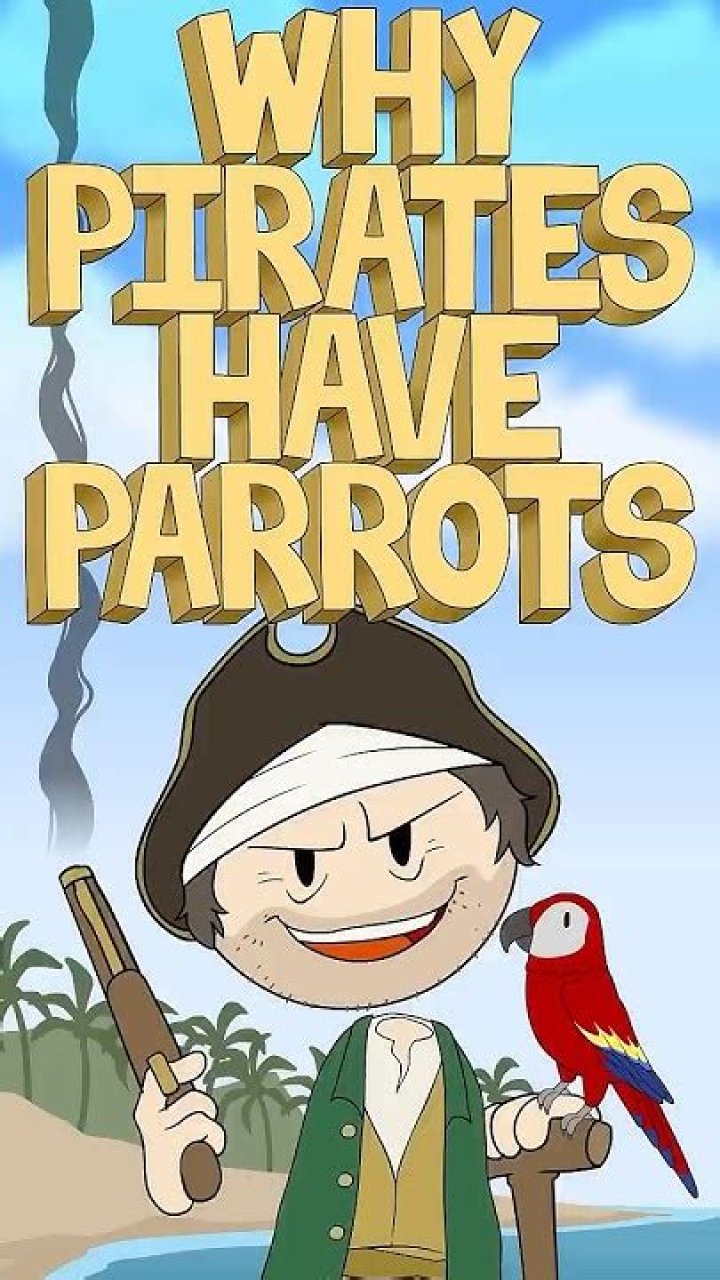 Why pirates have parrots?