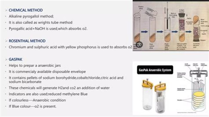 Why pyrogallol is used?
