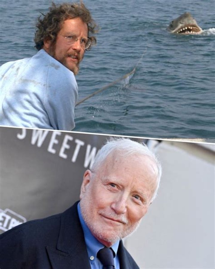 Why richard dreyfuss wasn't in jaws 2?