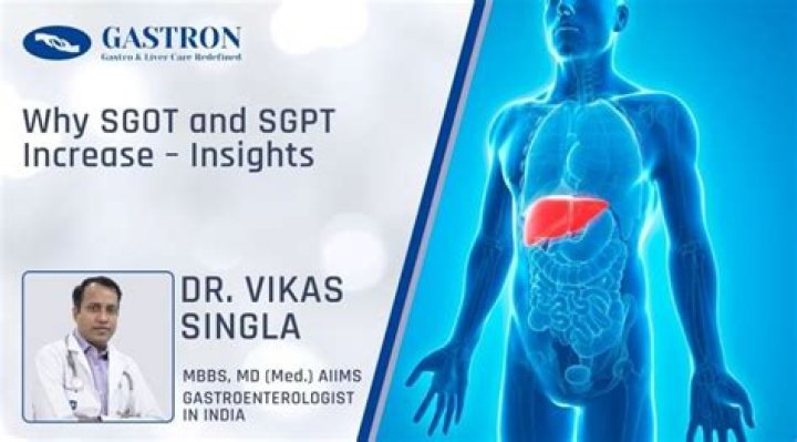 Why sgot and sgpt increase?