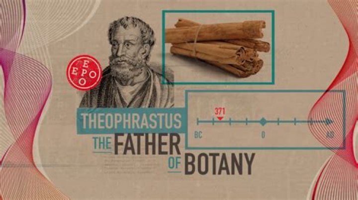 Why theophrastus is called father of botany?