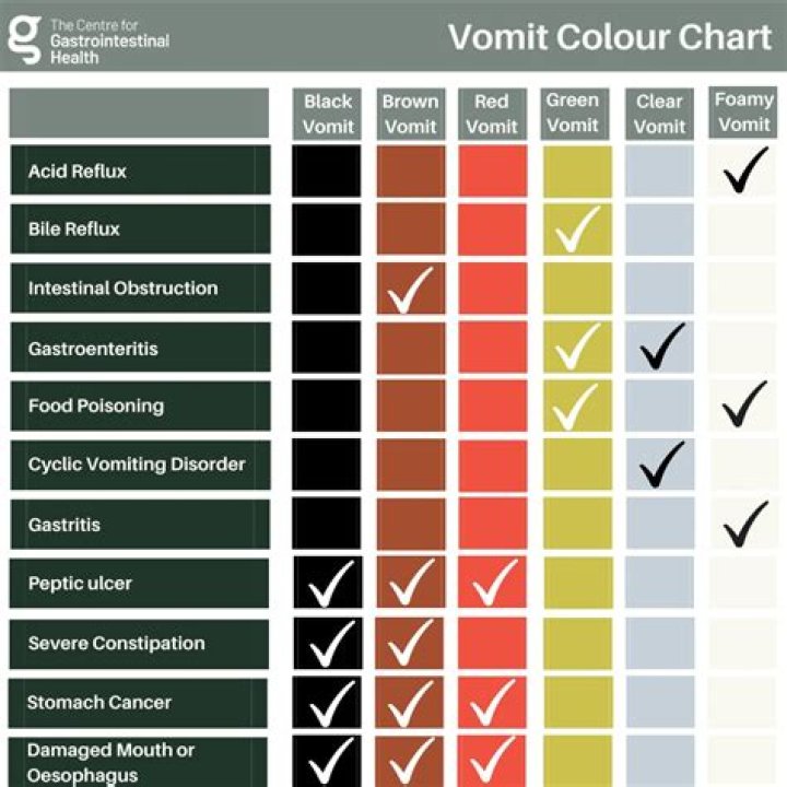 Why vomit white foam?