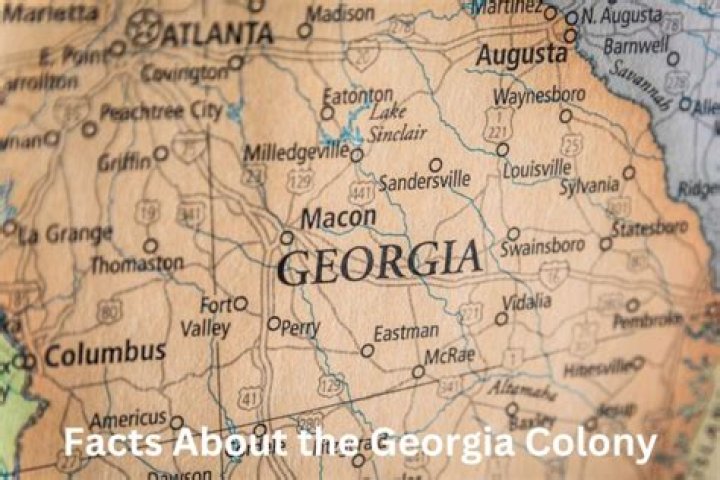 Why was georgia called a debtors colony?