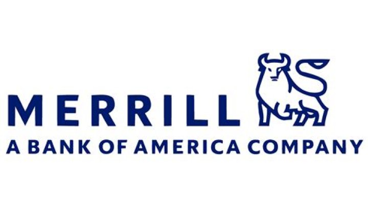 Why was merrill lynch sold to bank of america?