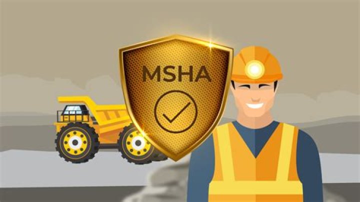 Why was msha created?