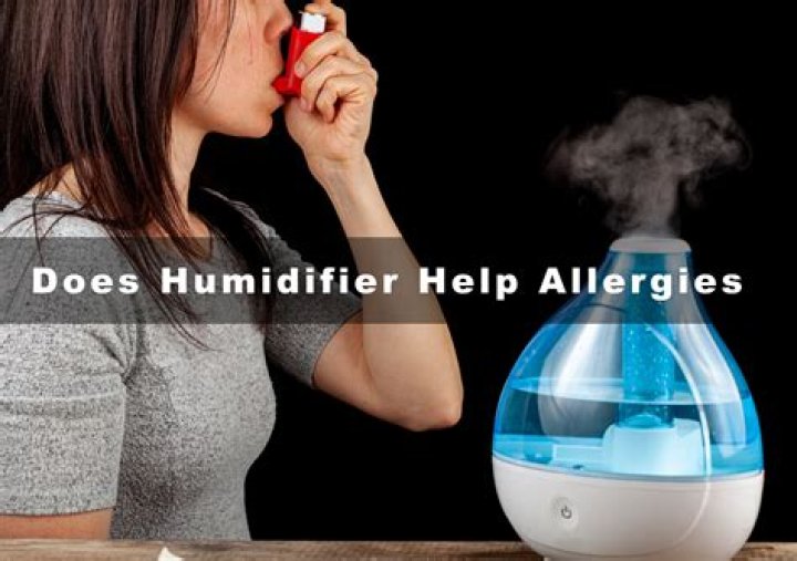 Will a dehumidifier help with hay fever?