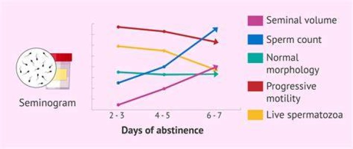 Will abstinence increase sperm count?