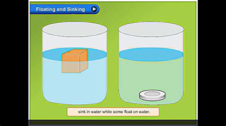 Will water floats in mercury?