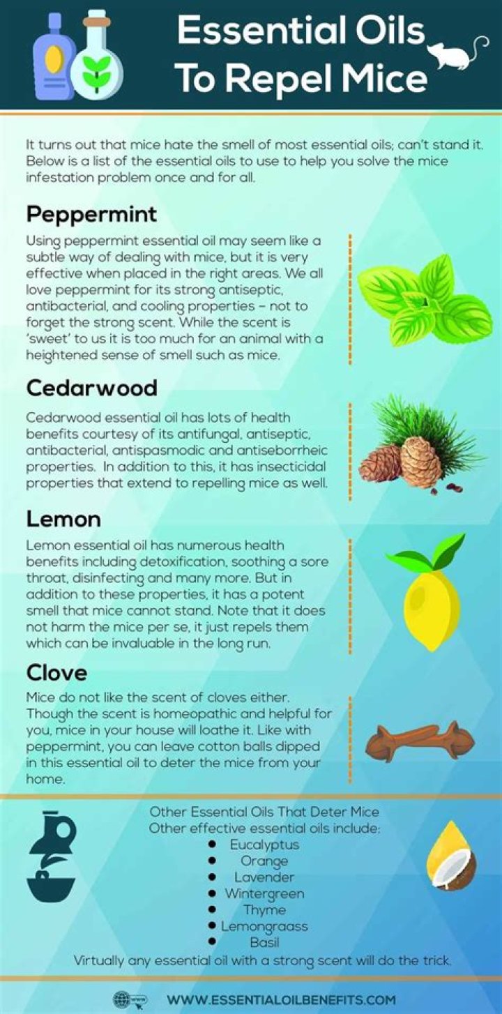 Would tea tree oil deter mice?