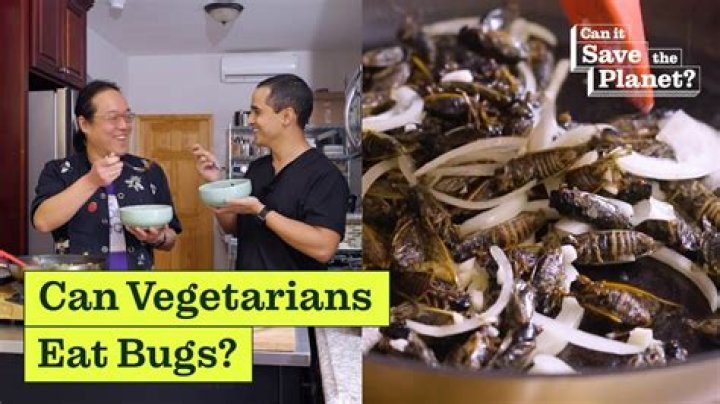 Would vegetarians eat insects?